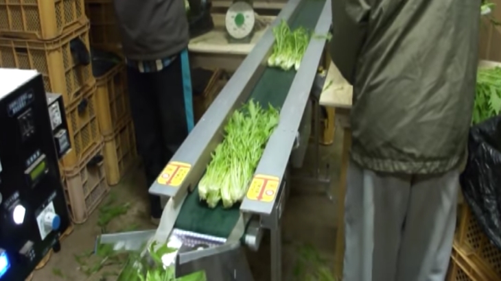 野菜包装機 | 株式会社ベビーロック